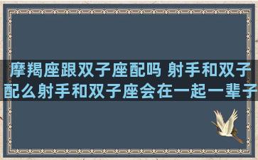 摩羯座跟双子座配吗 射手和双子配么射手和双子座会在一起一辈子